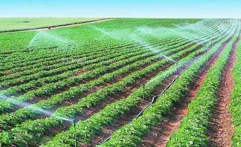 免费观看别插我嫩屄要喷水色色色农田高 效节水灌溉